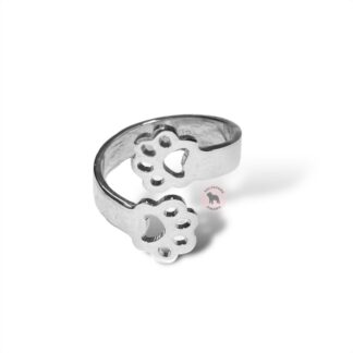 Anillos