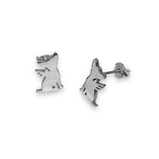 Aretes